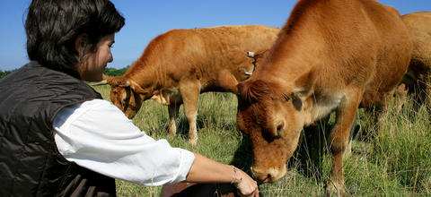  Agriculteur, Expert comptable à Saint-Omer, Boulogne-sur-Mer, Dunkerque et Lille